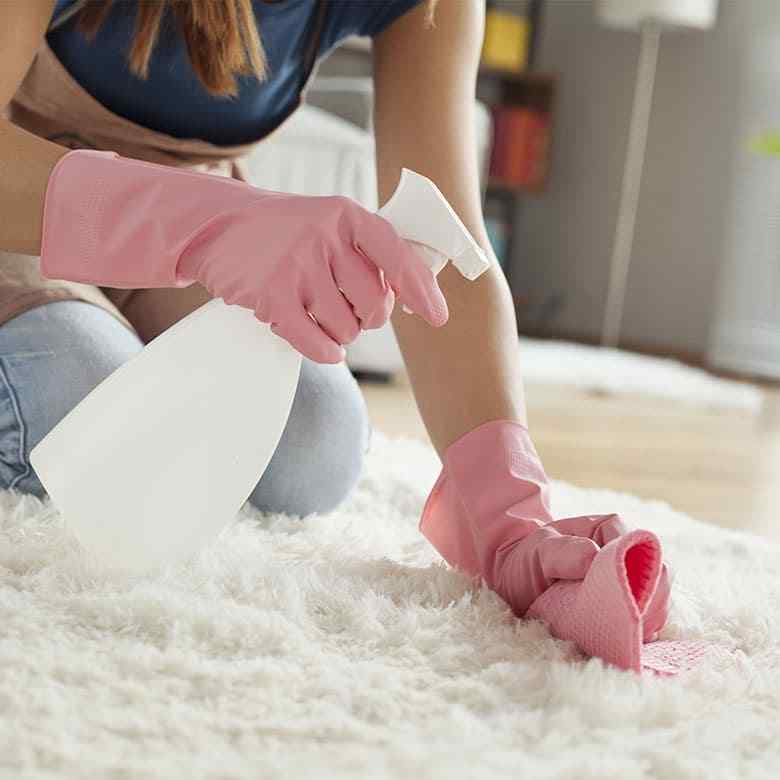 Professional carpet cleaning for house cleaning services in Woodinville WA