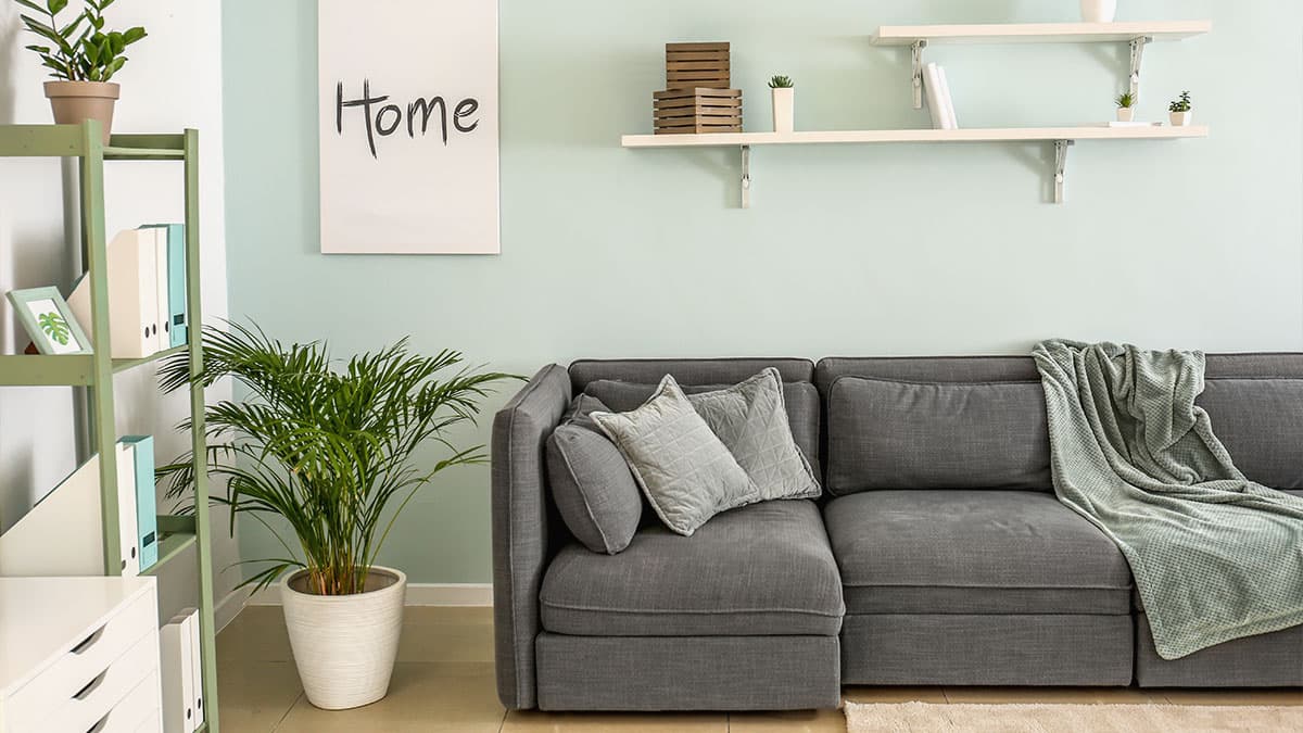 Clean living room with a gray sofa and houseplants, illustrating house cleaning for Woodinville homes.